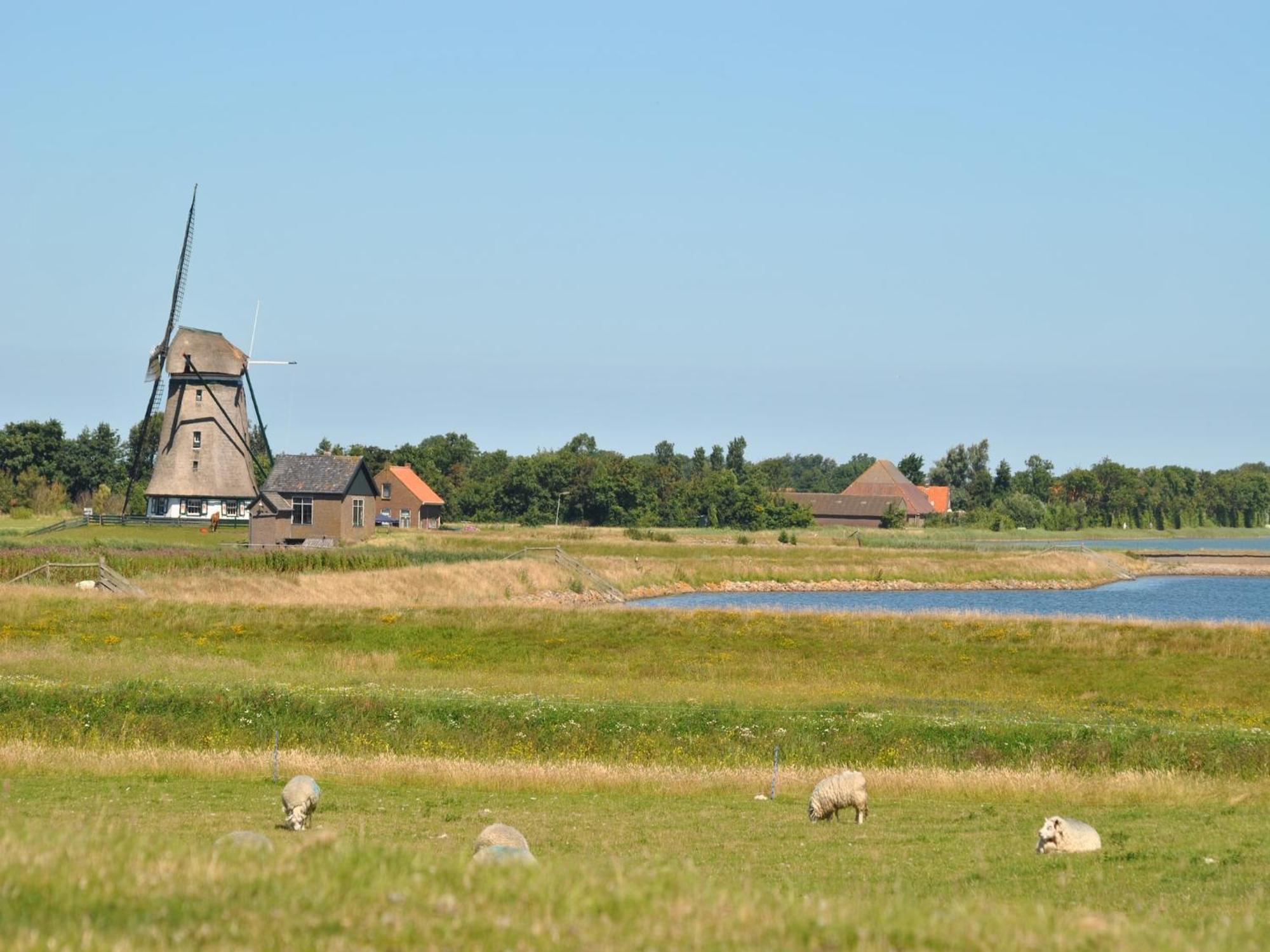 Charming Holiday Home In Texel Near Sea Oost (Texel) Exterior foto